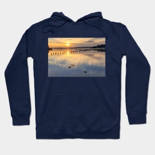 Peaceful Ducks at Golden Hour on Lake Washington Hoodie